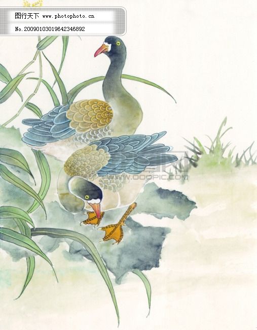 中华艺术绘画_古画_动物绘画_孔雀_天鹅_鸳鸯_凤凰_中国古代绘画免费下载 传统绘画艺术 美术绘画 名画欣赏 水彩画 水墨画 文化艺术 中国古代绘画艺术 传统绘画艺术 水墨画 水彩画 中国古代绘画艺术 名画欣赏 文化艺术 美术绘画 图片素材