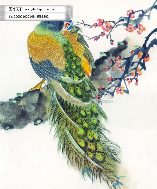 中华艺术绘画_古画_动物绘画_孔雀_天鹅_鸳鸯_凤凰_中国古代绘画免费下载 传统绘画艺术 美术绘画 名画欣赏 水彩画 水墨画 文化艺术 中国古代绘画艺术 传统绘画艺术 水墨画 水彩画 中国古代绘画艺术 名画欣赏 文化艺术 美术绘画 图片素材