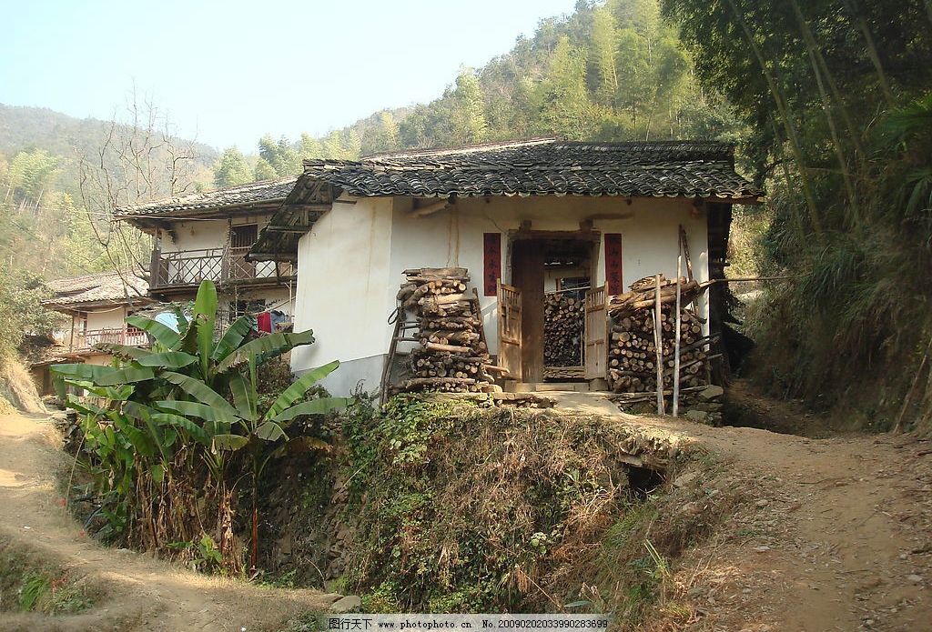 山里汉宠妻无度|下章|丑女种田txt下载|悍女种田