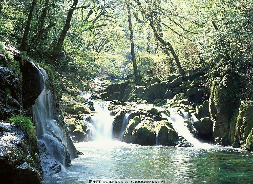 小溪 森林 阳光 清泉 树木 明亮 自然景观 山水风景 摄影图库 350dpi