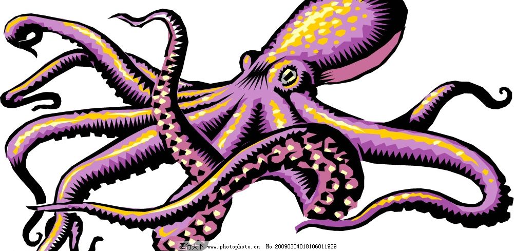 章鱼图片