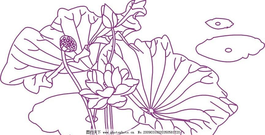 荷花 花纹 荷叶 矢量图 线条 花纹花边 矢量图库图片
