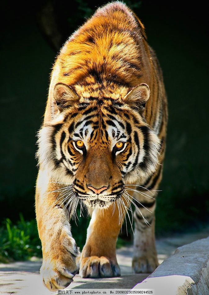 端午节香包 沂蒙山手工制作布艺 老虎 挂件