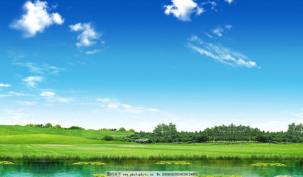 楽天市場】【最大39倍 5/20限定】 ダブリュピーシー 傘 Wpc